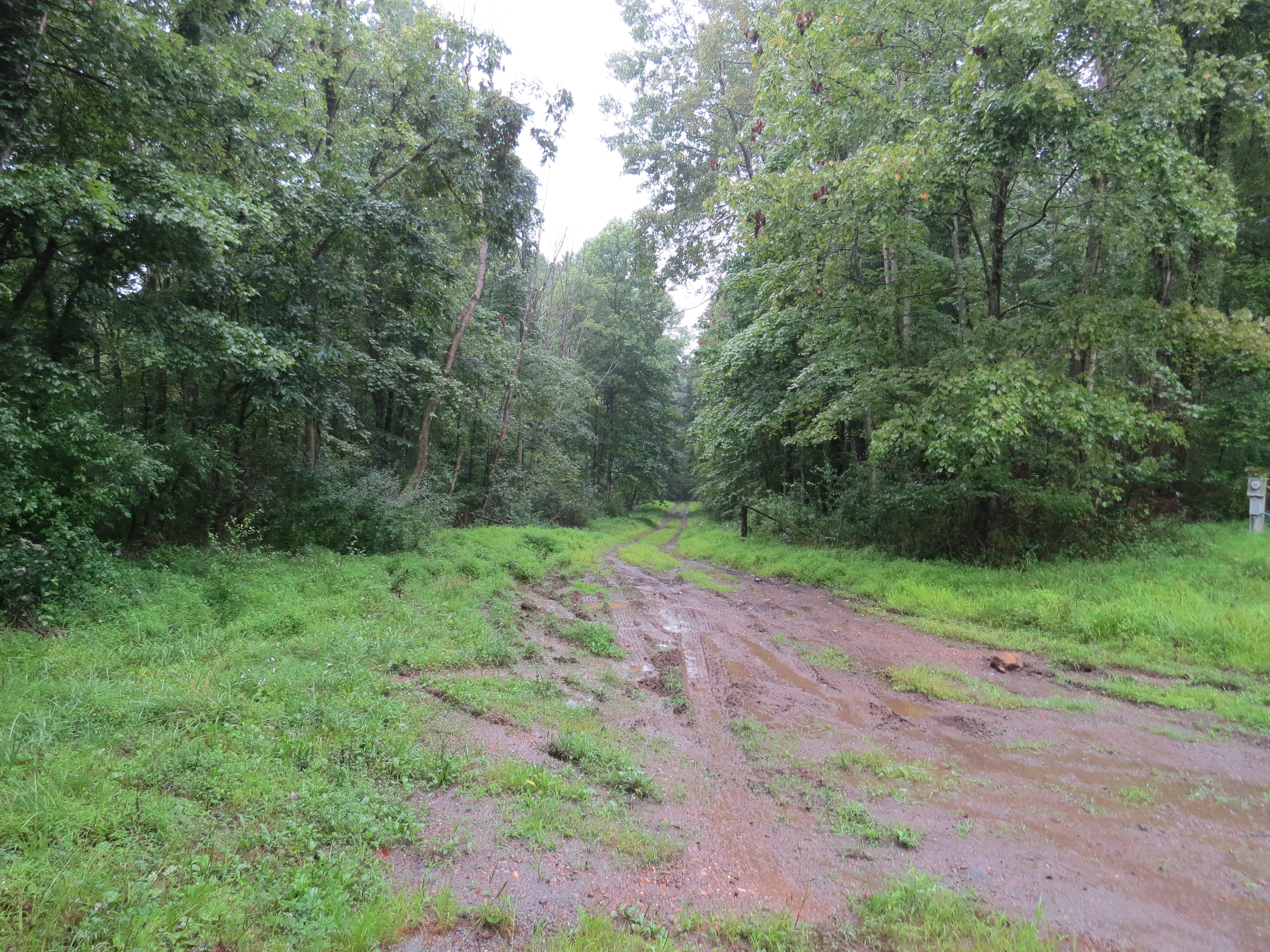 <code>br</code>-entrance to Hahn`driveway - muddy (orig)-2281.jpeg
